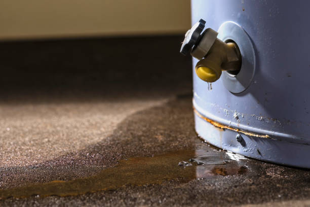 Best Basement water damage restoration  in Ronkonkoma, NY