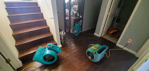 Best 24-hour water damage restoration  in Ronkonkoma, NY