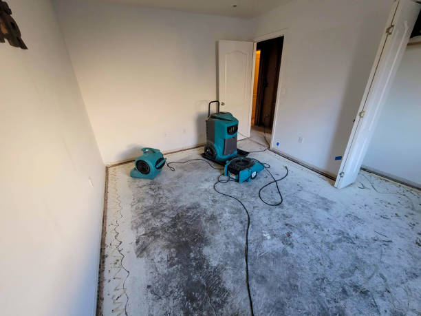 Sewage cleanup and water damage restoration in Ronkonkoma, NY