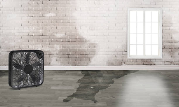 Best 24-hour water damage restoration  in Ronkonkoma, NY