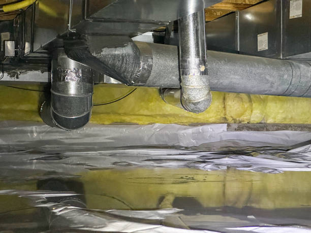 Best Professional water damage repair  in Ronkonkoma, NY