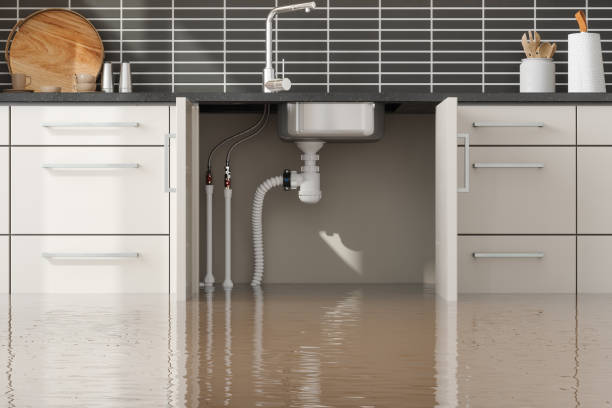 Best Flood damage cleanup  in Ronkonkoma, NY