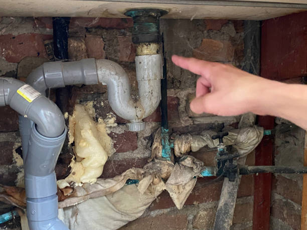 Best Fire Damage Restoration  in Ronkonkoma, NY