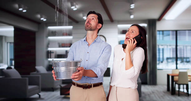 Best Commercial water damage restoration  in Ronkonkoma, NY